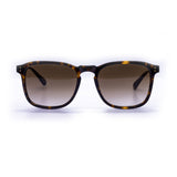 Audrey 01 Tartaruga/Marrone