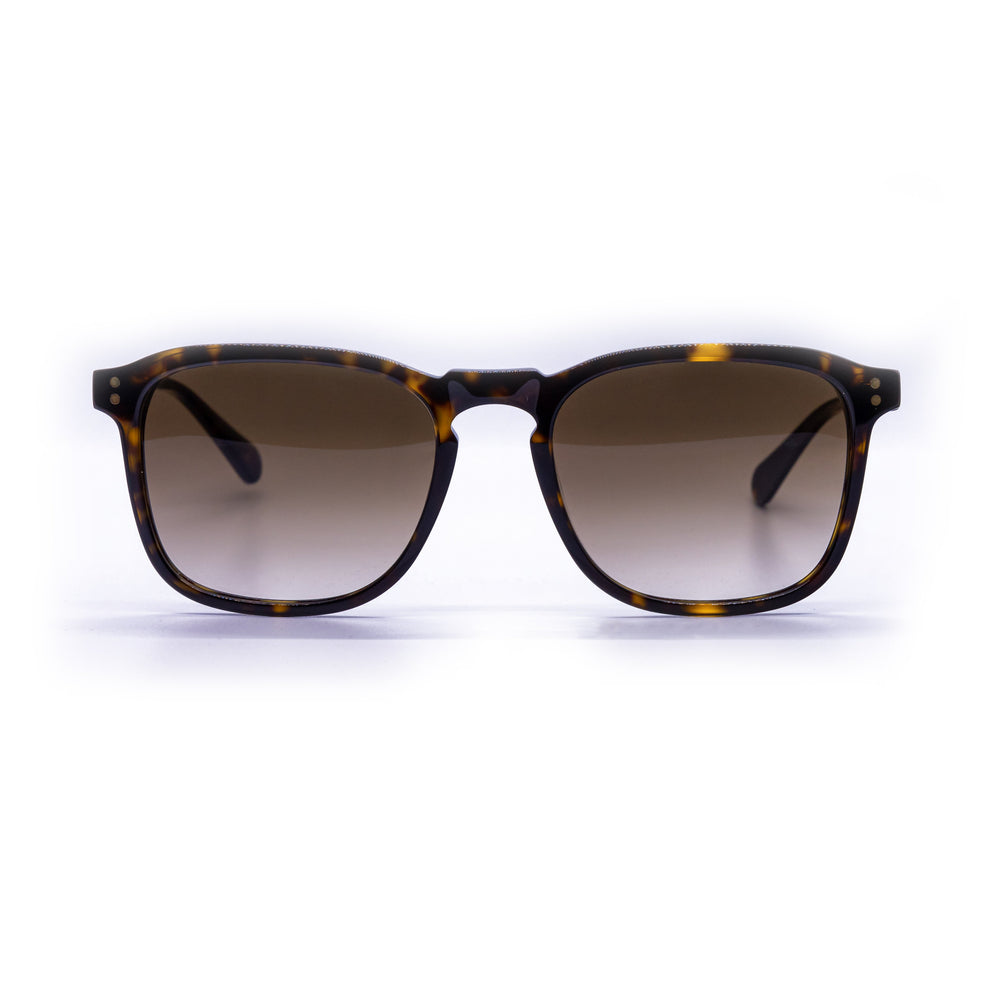 Audrey 01 Tartaruga/Marrone